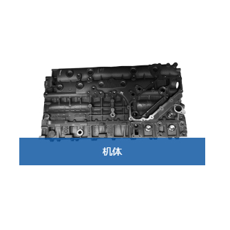 Engine Overhaul Kit